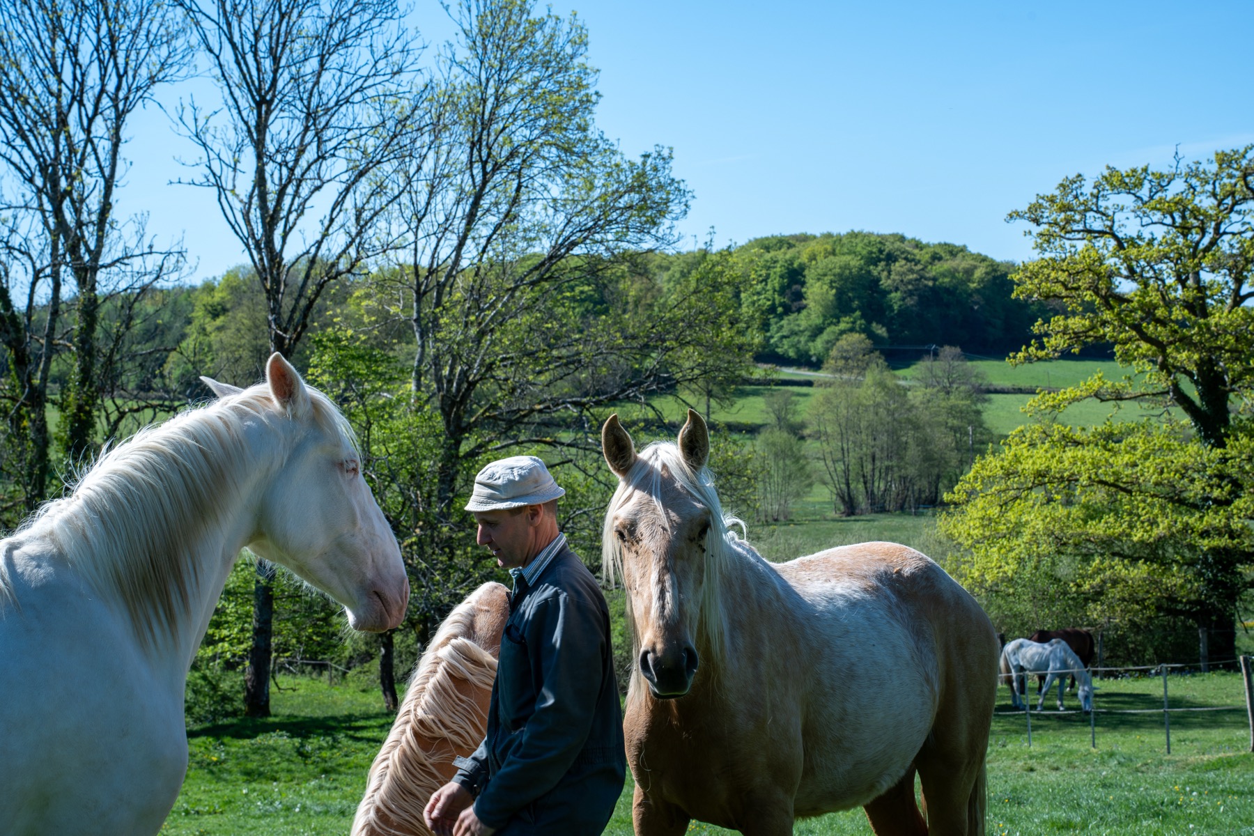 Pré et nature